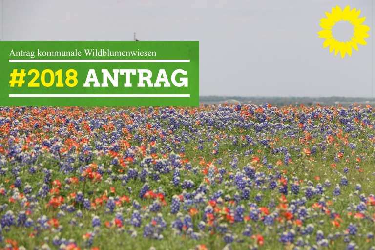 Antrag kommunale Wildblumenwiesen