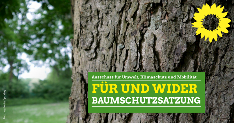 Für und Wider Baumschutzsatzung