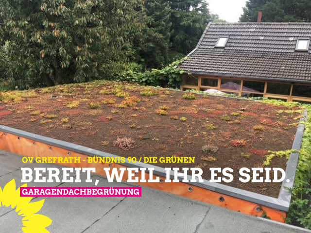 Garagendachbegrünung…