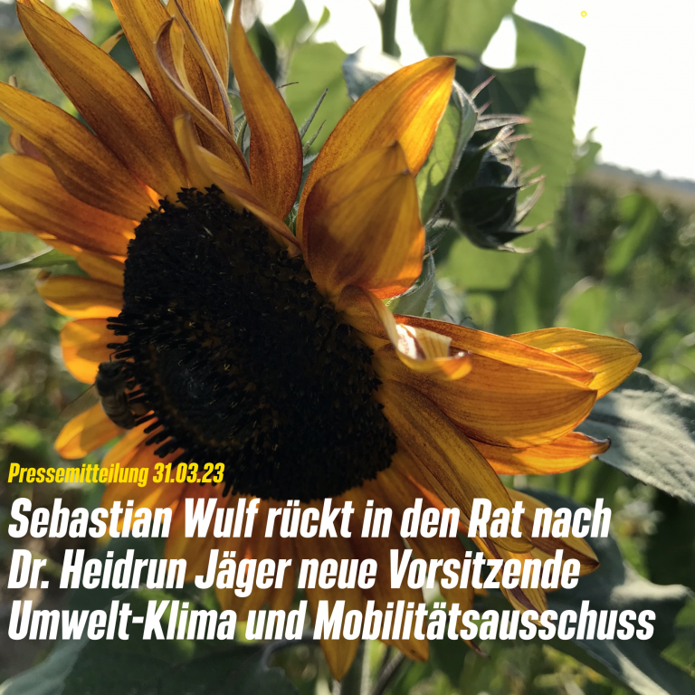 Pressemitteilung: Sebastian Wulf rückt in den Rat nach – Dr. Heidrun Jäger neue Vorsitzende Umwelt-Klima und Mobilitätsausschuss