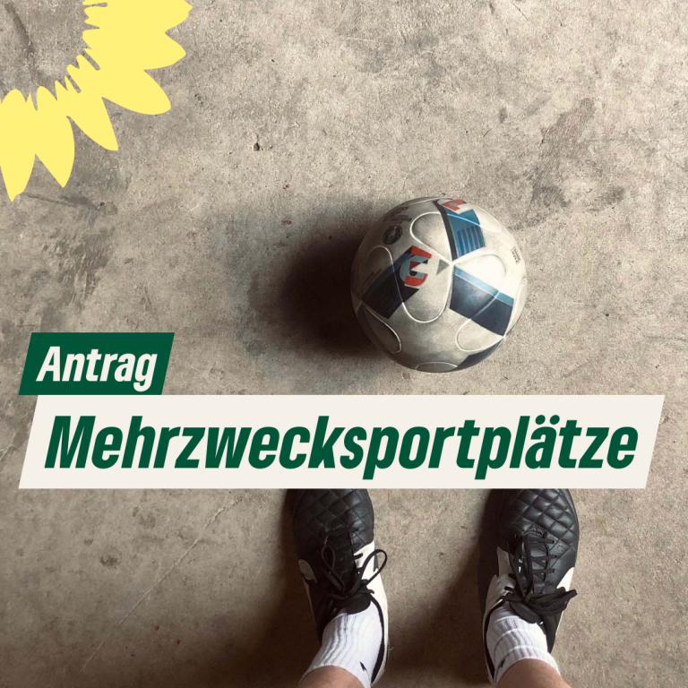 Antrag auf Errichtung zweier Mehrzwecksportplätze